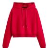 Women's Cropped Sweatshirt Long Sleeves Drawstring Pullover Simple Crop Hoodie