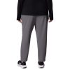 Womens All Seasons Slim Pull-On Pant, City Grey, 1X